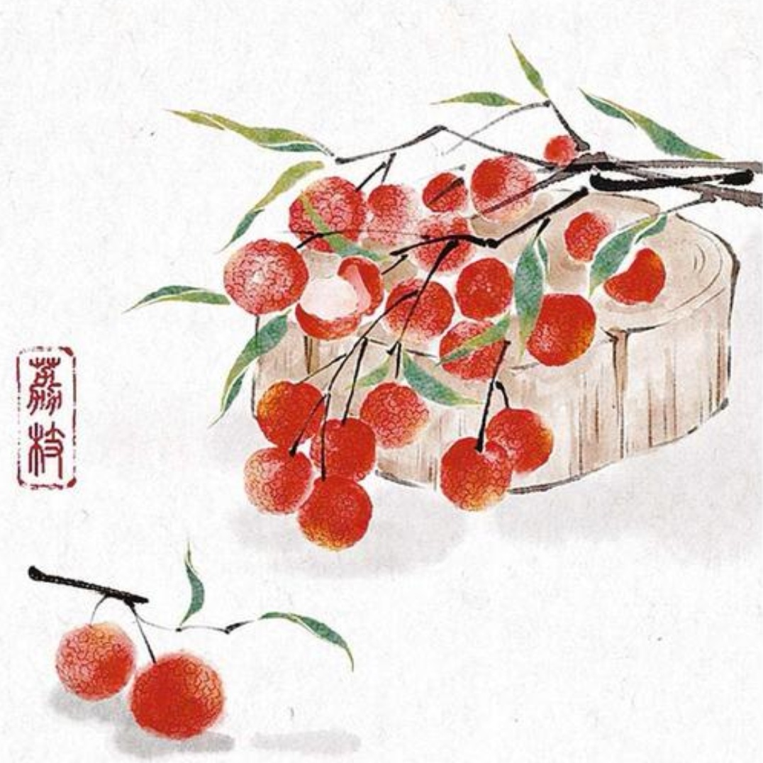 荔枝红 夏日安